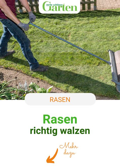 Diese sind zahlreich im internet zu finden. Rasen walzen: So geht's richtig in 2020 | Rasen walzen ...