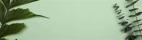 Download Enjoy Breathtaking Views of a Picturesque Mountain Valley