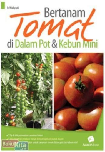 Bertanam Cabai Di Lahan Dan Pot Setiadi Jumlah Halaman - Rumah Berita