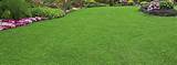 Lawn And Landscape Care Pictures