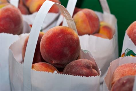 Natures Juicy Superfood Amazing Benefits Of Peaches
