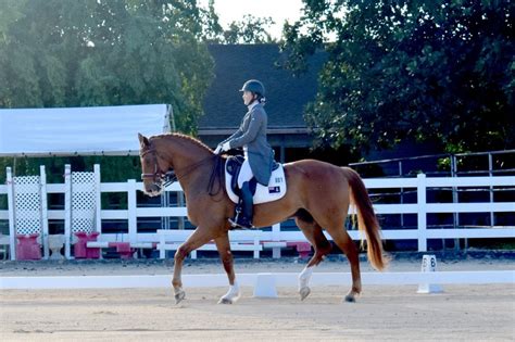 Impressive Riding For Cayman Islands Dressage Riders Ieyenews