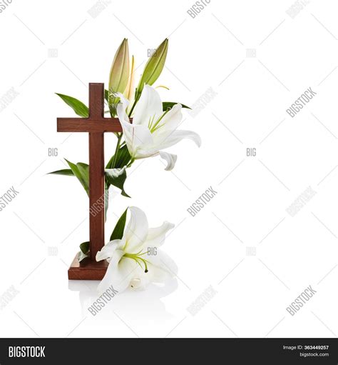 Cross Lilies Isolated Image And Photo Free Trial Bigstock