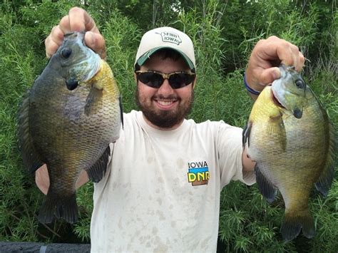 Iowa Dnr Fishing News