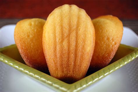 From cdn.shopify.com adaline layer input layer madaline. Moist Madalines : French Madeleines Recipe Leite S Culinaria - hongospatogenos-wall