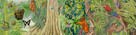 Tropical Rainforest Drawing at GetDrawings | Free download See more ideas about art, rainforest, painting.