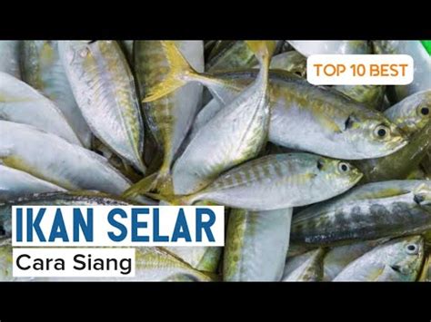 765 resep ikan selar ala rumahan yang mudah dan enak dari komunitas memasak terbesar dunia! Cara Siang Ikan Selar Dengan Mudah dan Betul - YouTube