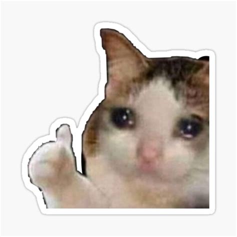 Crying Cat Meme Sticker For Sale By Aesthetics Kyye Redbubble