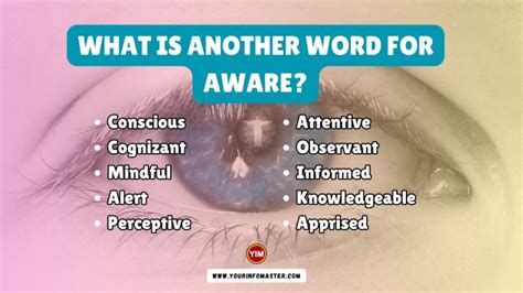 What Is Another Word For Aware Aware Synonyms Antonyms And