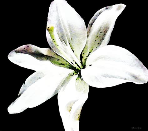Display this gorgeous botanical artwork in the dining room as a chic focal point. White Lily - Elegant Black And White Floral Art By Sharon ...