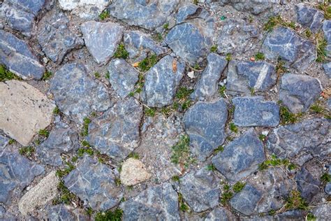 Detail Of Cobblestone Path Stock Image Image Of Closeup 50629887