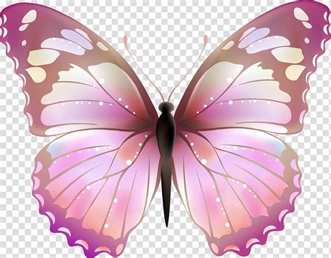 Blue butterfly beautiful butterfly butterfly butterfly illustration. Pink and black butterfly illustration transparent ...