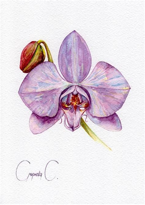 Orchid Flowers Red Green Pink Watercolor Original Painting From