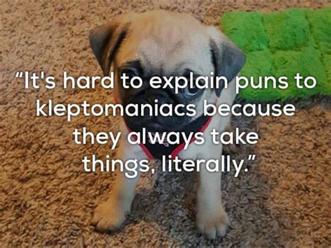 Really Bad One Liner Jokes Are Funnier With Dogs 24 Pics
