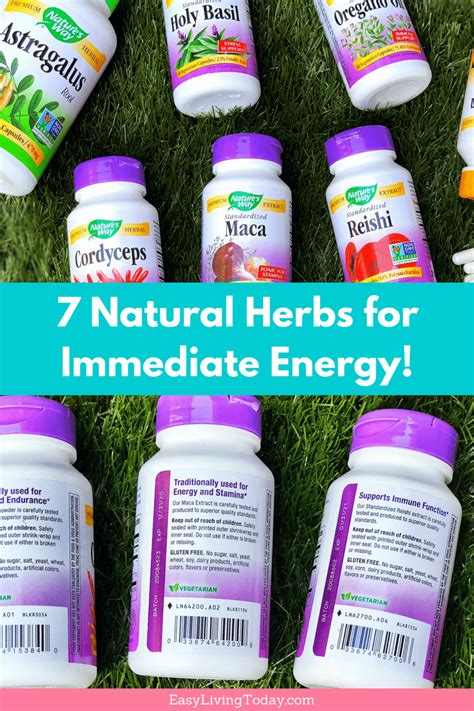 Always Tired Try These 7 Natural Herbs For Energy Asap Herbs For