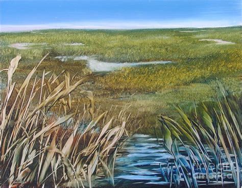 Marsh Wetlands Painting By Vivian Haberfeld Fine Art America