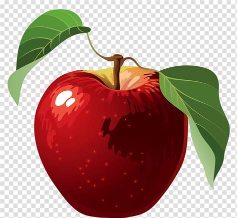 Apples Transparent Clipart 10 Free Cliparts Download Images On