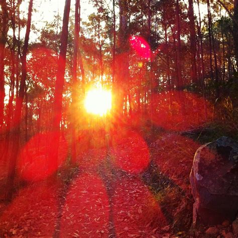 Where are the glass house mountains? Kimono Reincarnate: Afternoon Walks in the Glass House ...