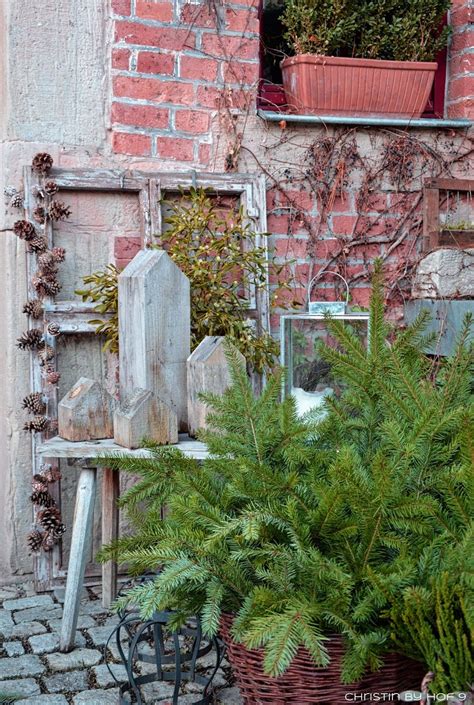 Darauf sollten sie unbedingt achten. II. Adventspecial mit vielen Weihnachtssternen | Hof ...