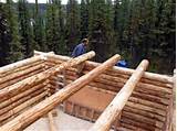 Log Cabin Roof Construction Pictures