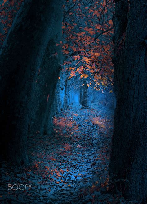 Path Autumn Impression Ilidza Sarajevo Bosnia Paths Landscape