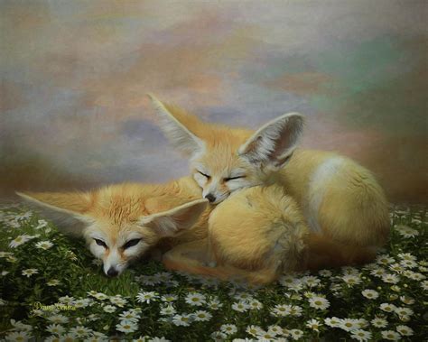 Cuddling Fennec Desert Foxes Painting By Dawn Gemme Fine Art America
