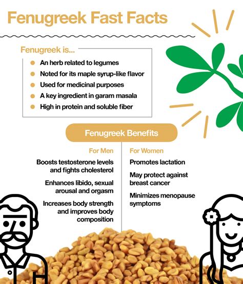 Fenugreek Benefits for Men and Women – The Amino Company