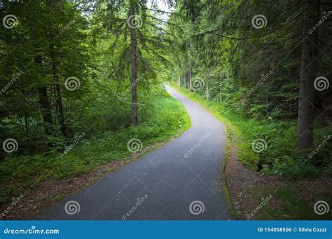 Winding Road In The Forest Stock Photo Image Of Travel 154058506
