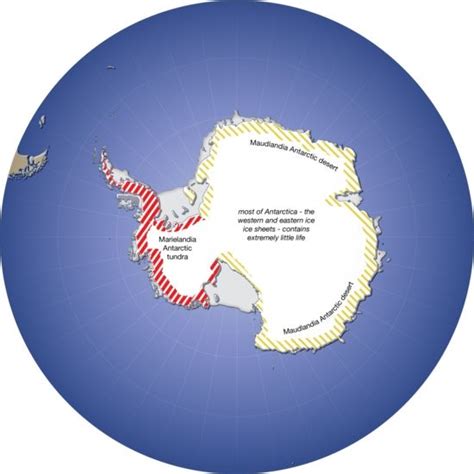Antarctica Education Poster Map
