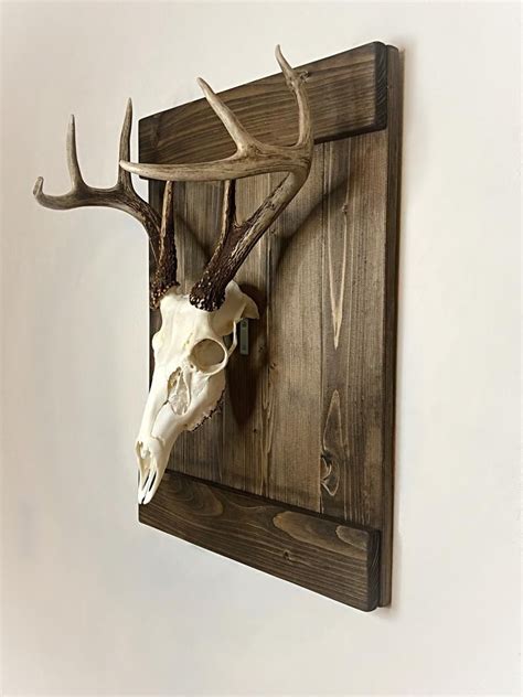 Shutter Style Deer European Skull Mount Wood Plaque Wall Etsy Deer