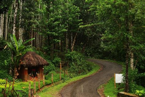 Agumbe Karnataka Where Cherrapunji Meets The Western Ghats 3 Reasons You Should Visit The Place