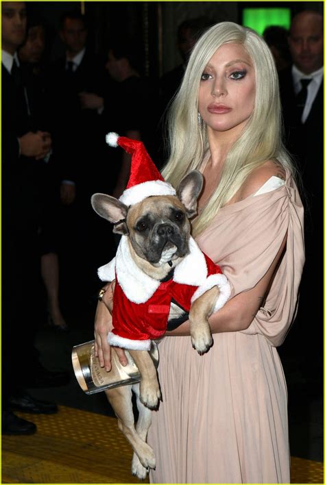 Two days after thieves shot the singer's dogwalker and abducted lady gaga's beloved dogs koji and gustav, the animals were recovered unharmed. Lady Gaga Dresses Her Dog in a Santa Costume!: Photo ...