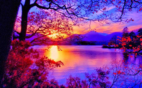 Sunset Scenery Hd Wallpaper Beautiful Scenery 1600x1000 Download