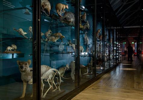 Natural History Museum At Tring Harpenden Taxis Travel