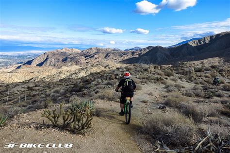 The cactus they refer to, however, is not really a cactus at all. Palm Canyon EPIC Photos - Southern California Guided ...