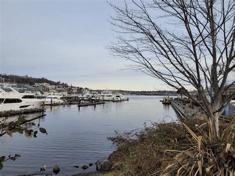 Police Recover Body From South Lake Union, No Signs of Foul Play At