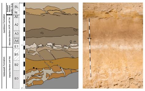 Figure4 Schematic Representation Of The Stratigraphy And Soil