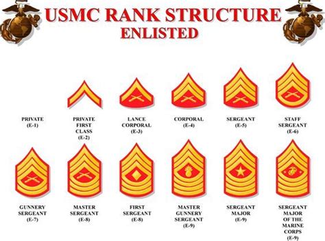 Us Marine Corps Ranks Marine Ranks Men And Women In Uniform Usmc