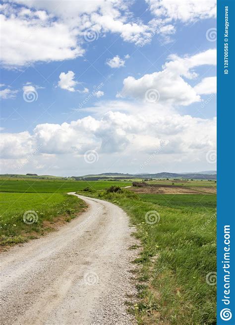 Empty Country Dirt Road Winding Between Green May Fields Stock Image