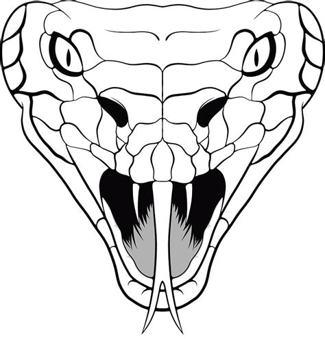 Snake With Mouth Open Drawing Sketch Coloring Page