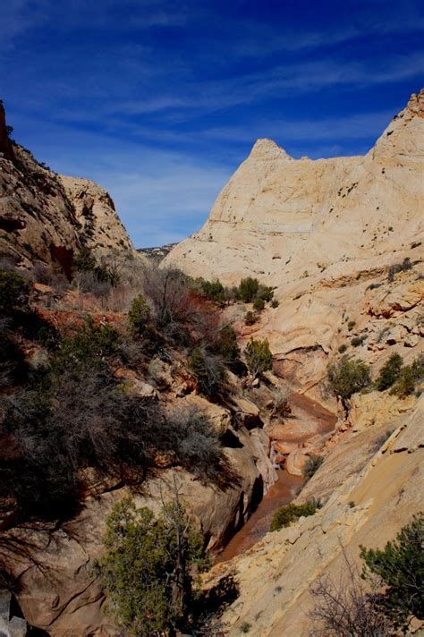 Oak Creek Canyon Capitol Reef National Park Ut Live And Let Hike