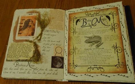The books follow the exploits of two witches, sisters who keep trying and failing to break away from their magical lineage. Practical Magic Three Dimensional Spell Pages (Mounted ...