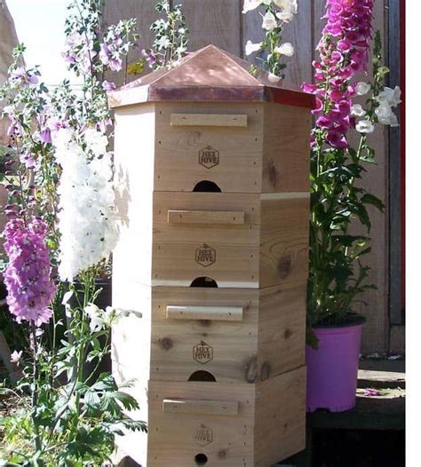 Beehive Plans For Beekeeping On The Homestead Homesteading Bee Hive