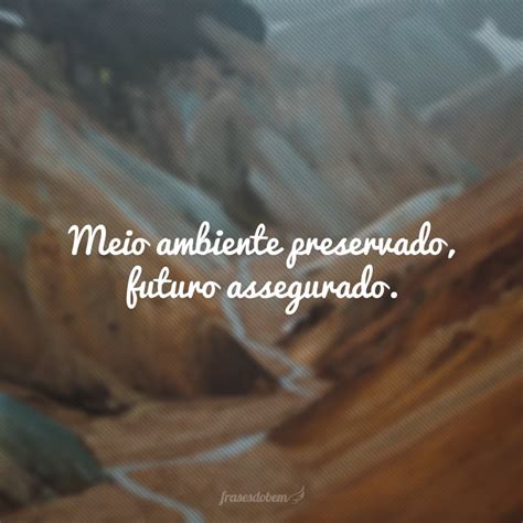 45 Frases Sobre Meio Ambiente Para Conscientizar E Mudar De Ideia