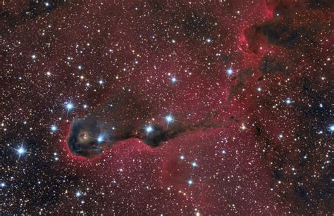 A Bela Nebulosa Da Tromba Do Elefante Na Constelação De
