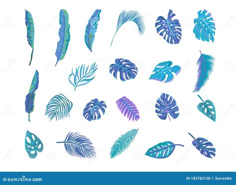 Vector Pastel Tropical Leaves Collection Stock Vector Illustration Of