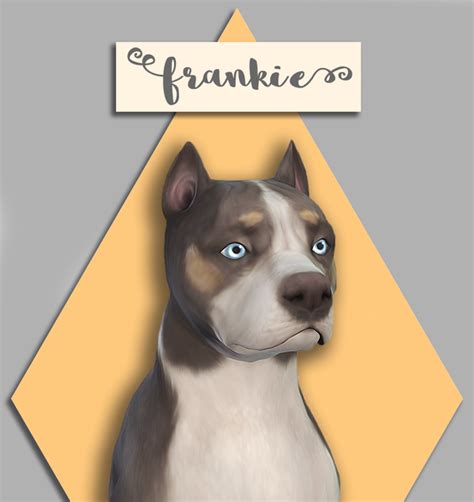 Sims 4 Cats And Dogs — Ellysimsx Heres A Beautiful Pitbull I Made For