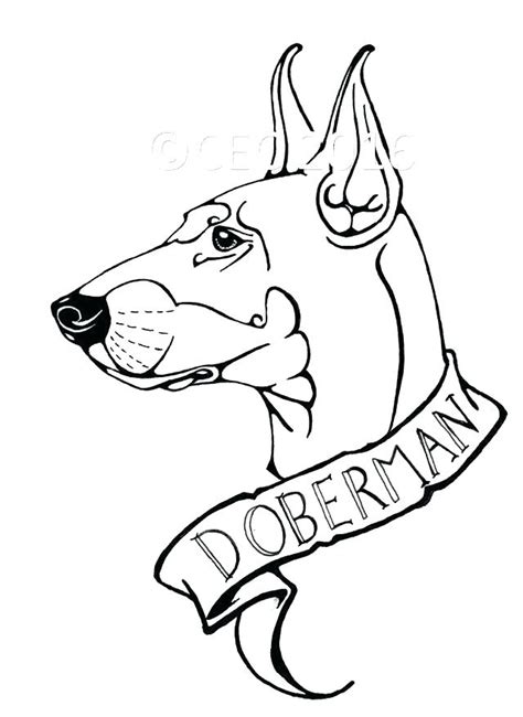 Browse thousands of amazon logo designs. Superhero Logos Coloring Pages at GetColorings.com | Free ...