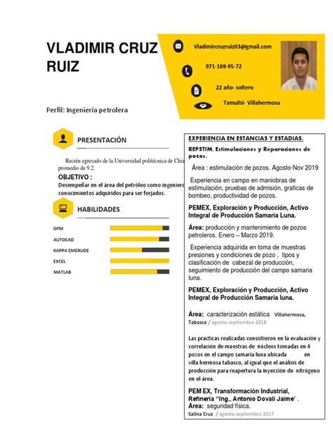 Vladimir Cruz Ruiz Curriculum Vitae Pdf Petróleo Ingeniería