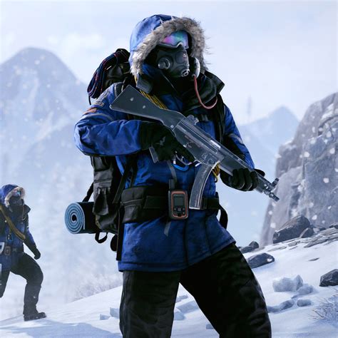 Official Skins Arctic Pack — Rust